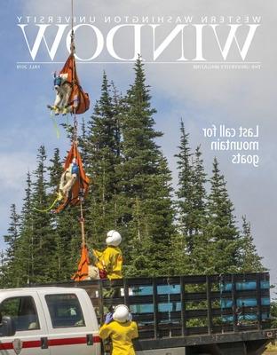 Cover of 欧洲杯投注's Window Magazine picturing goats being lifted in the air.