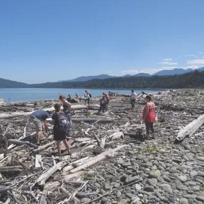 学生们正在检查被冲上岸的浮木.